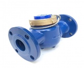 冷(热)远传水表